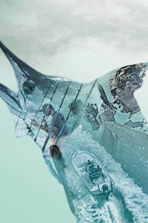 Sport Fishing Tv Explorations