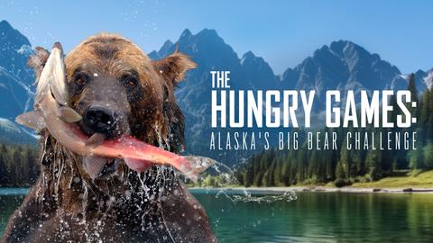 Hungry Games: Alaska's Big Bear Challenge
