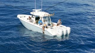 Expedition: Gulf Stream Expedition: Gulf Stream