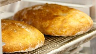 Rustic Bread Home Rustic Bread Home