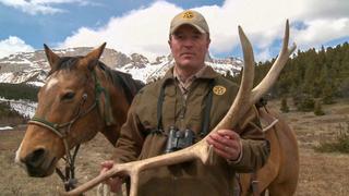Montana Style Montana Style