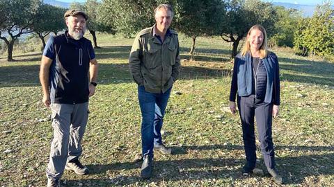 The Poles at Monte Cassino
