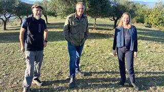 The Poles at Monte Cassino