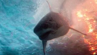 Deep Water