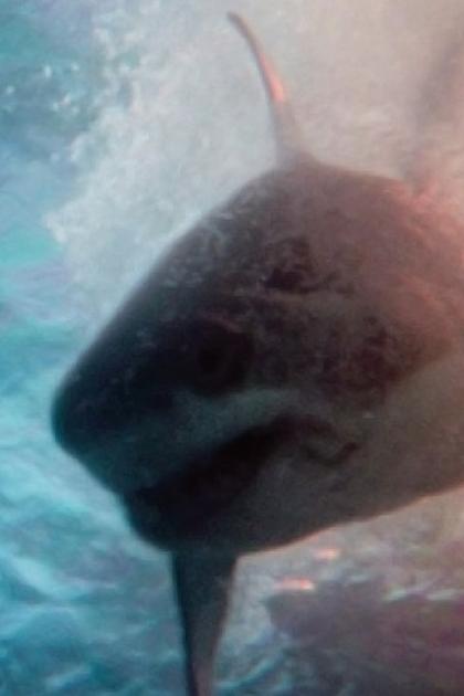 Deep Water