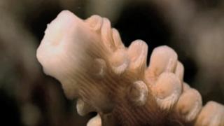 The Day the Earth Changed The Day the Earth Changed