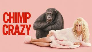  watch Chimp Crazy