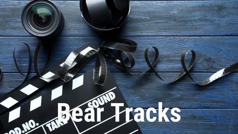 Bear Tracks