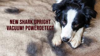  watch NEW Shark Upright Vacuum! PowerDetect