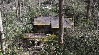 Cabin in the Woods