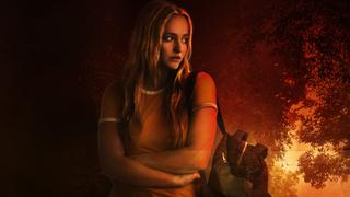 The Man in the White Van