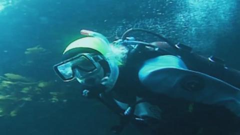 Scuba Diver and Car Capers