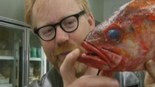 MythBusters