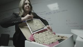 A Telltale Heart A Telltale Heart