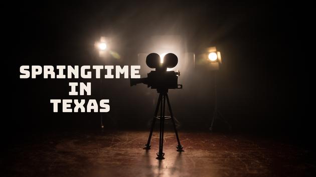 Springtime In Texas