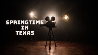 Springtime In Texas