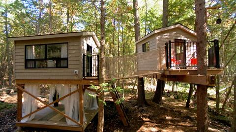 Treehouse Village