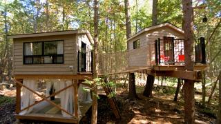 Treehouse Village