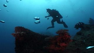 Death by Human Torpedo