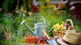 Permission to Plant Permission to Plant