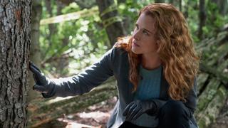 Poison in a Pear Tree - Part 1 Poison in a Pear Tree - Part 1