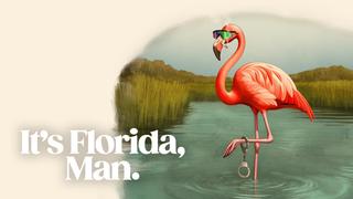  watch It's Florida, Man