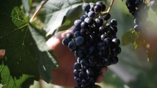 Paranormal Caught on Camera