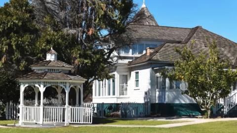 Feline Phantom in Minnesota and More