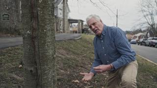 Disturbing the Dead Disturbing the Dead