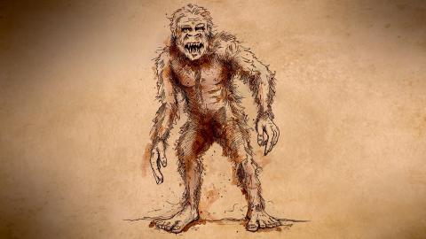 Mystery of the Minnesota Wildman