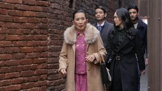The Lin Family The Lin Family