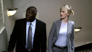 The Runner The Runner