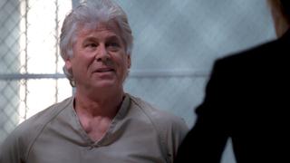 Creatures of the Night