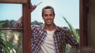 Anteaters. They're Just Crazy-Lookin' Anteaters. They're Just Crazy-Lookin'