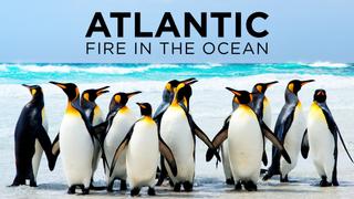  watch Atlantic: Fire in the Ocean