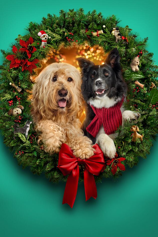 Happy Howlidays
