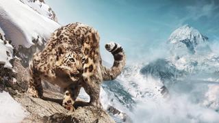 Above the Clouds Above the Clouds