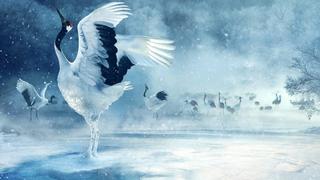 The Frozen North The Frozen North