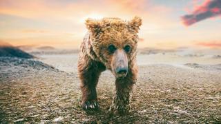 The Arid Heart The Arid Heart