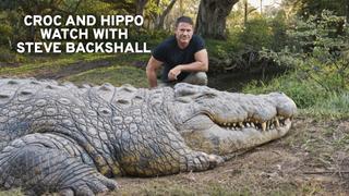 Croc and Hippo Watch with Steve Backshall