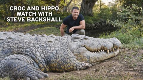 Croc and Hippo Watch with Steve Backshall