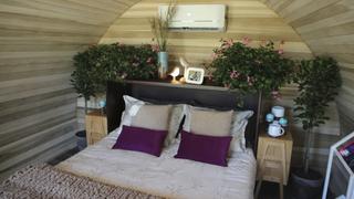From Airplane to Tiny Home Haven From Airplane to Tiny Home Haven