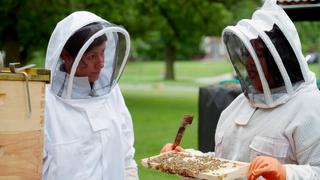 Beehives 101; Step Stool