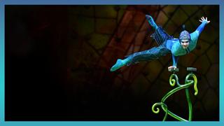 Amaluna, Totem & Ovo