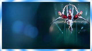 Spotlight on Quidam
