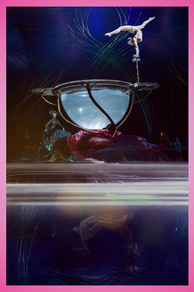 Cirque Presents: Amaluna