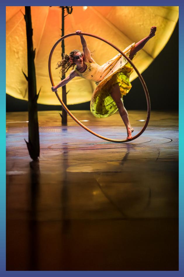 Luzia, Volta & Crystal