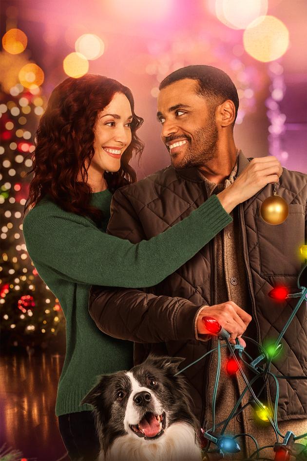 The Christmas Checklist