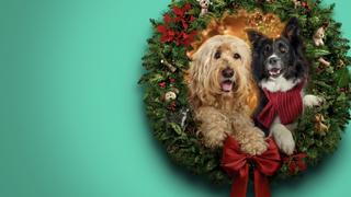 Happy Howlidays Happy Howlidays