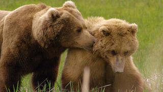 Mating Games and Birth Days